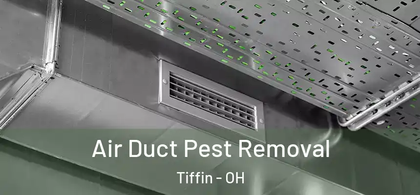  Air Duct Pest Removal Tiffin - OH