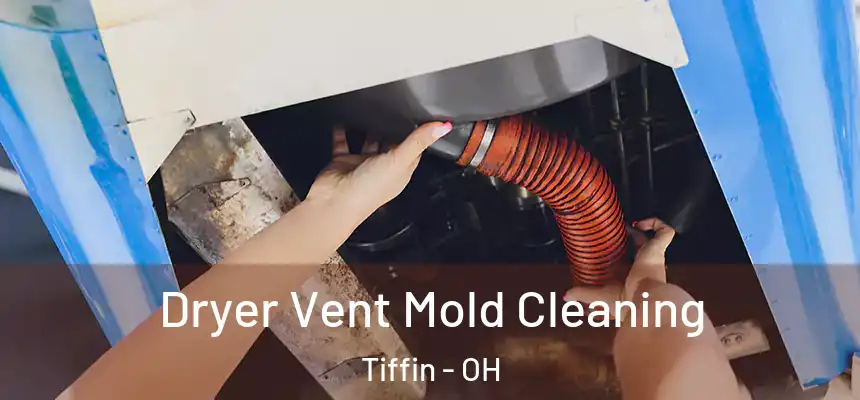  Dryer Vent Mold Cleaning Tiffin - OH