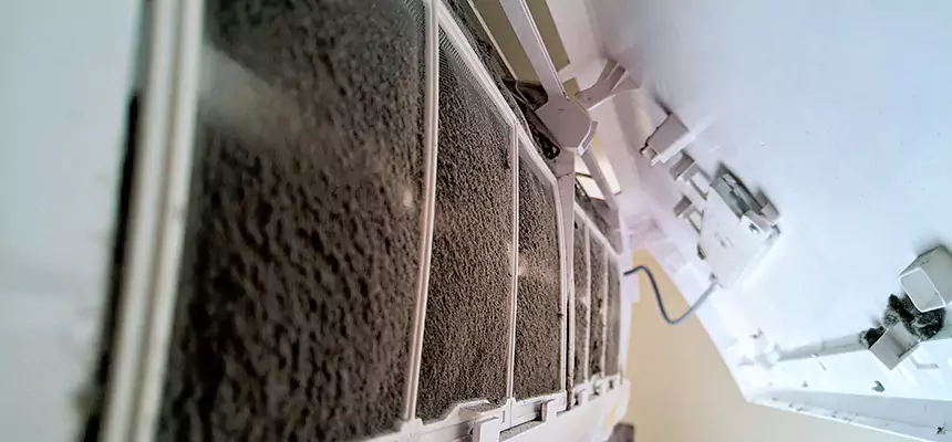 Preventive Air Duct Bacteria Removal in Tiffin