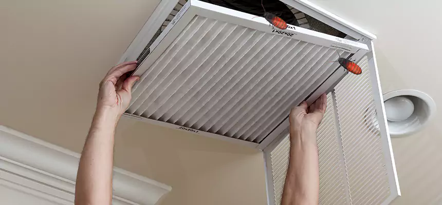 Preventive Cockroach-Proofing for Ducts in Tiffin