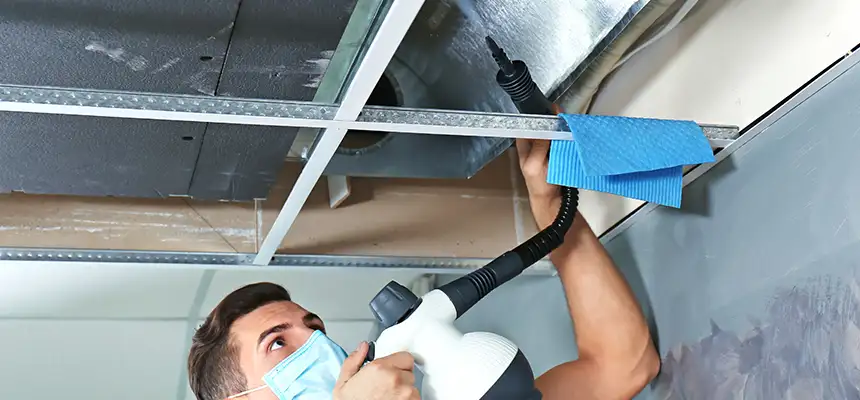 Our Air Duct Rodent Removal Services in Tiffin, OH