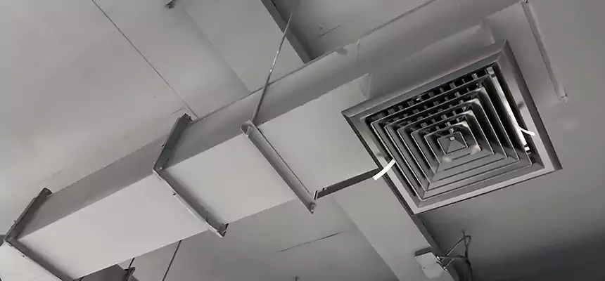 Our Rodent Droppings In Vents Services in Tiffin, OH