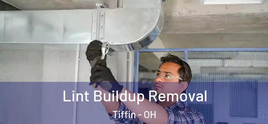  Lint Buildup Removal Tiffin - OH
