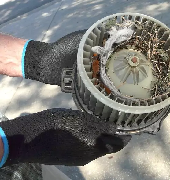 About Air Duct Mice Removal in Tiffin, OH