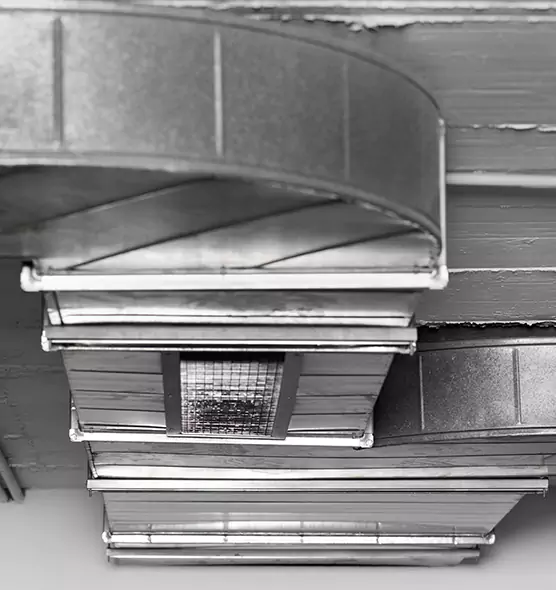 Professional Air Duct Pest Removal in Tiffin, OH