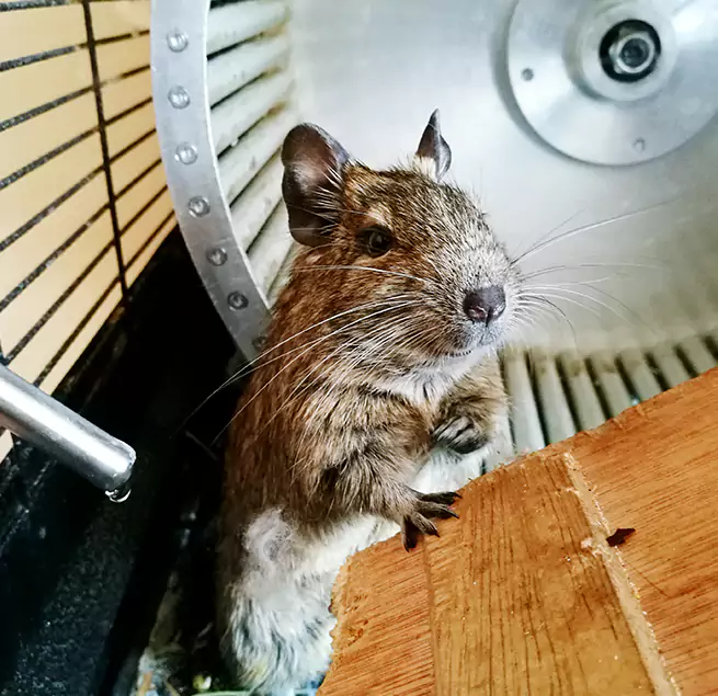 Why Homeowners & Businesses Trust Us Tiffin, OH